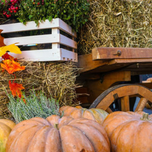 thanksgiving weekend traditions