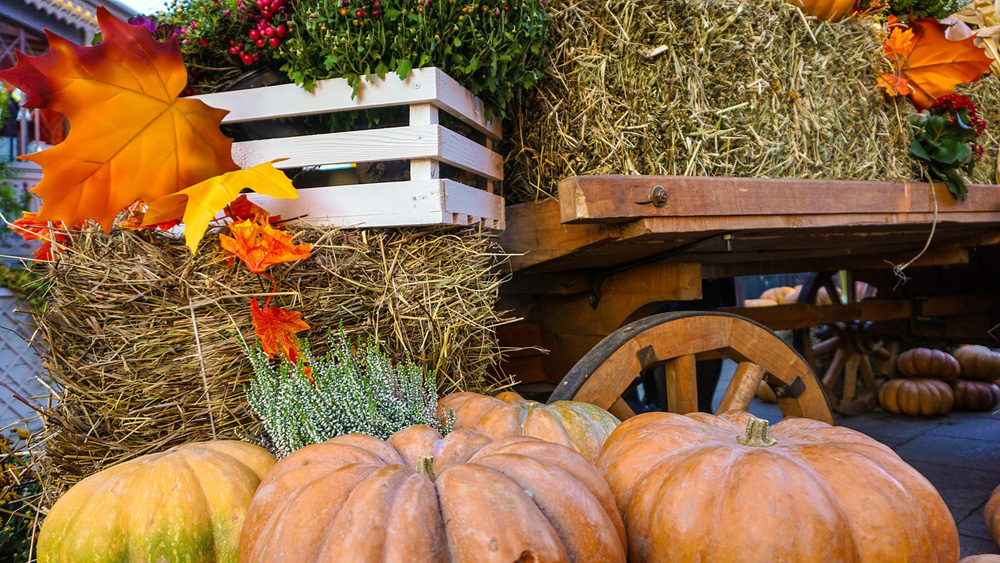 Thanksgiving Weekend Traditions