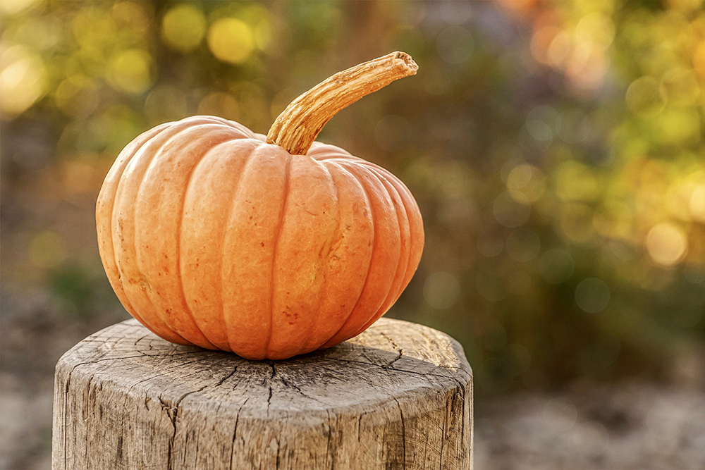 Steps for a Simply Safe Halloween