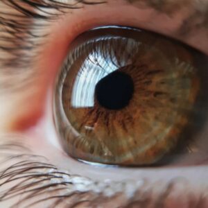 What are 5 Ways to Protect Your Eyes?