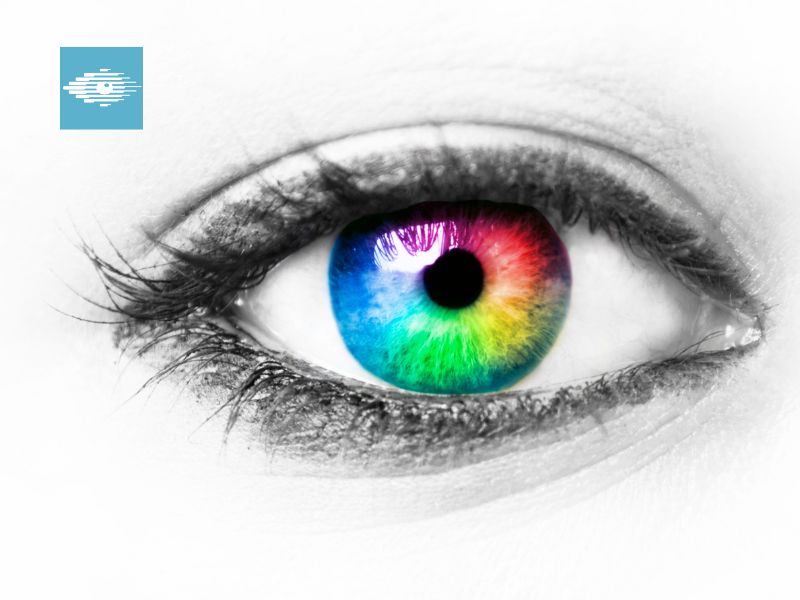What is the Rarest Eye Color?