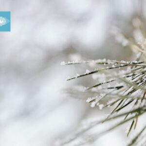 Why Are My Eyes Worse in Winter?